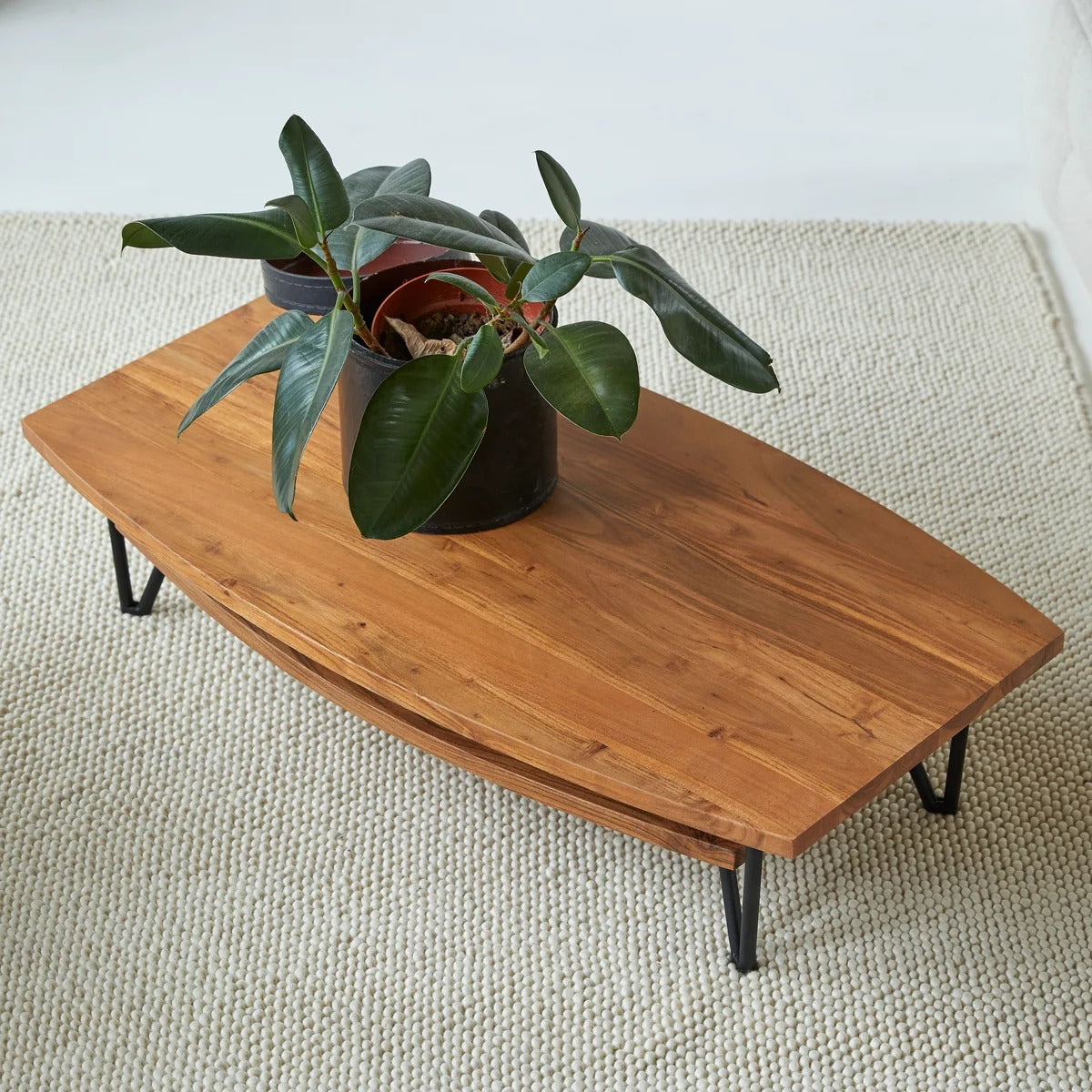 Bonnie Solid acacia coffee table