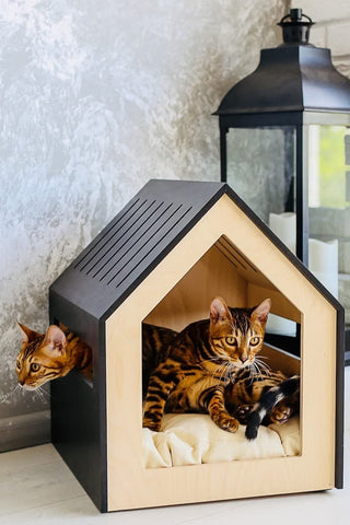 Modern Dog and cat House - J.L.HOME DECOR