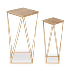 Gold Wood Veneer Modern End Table