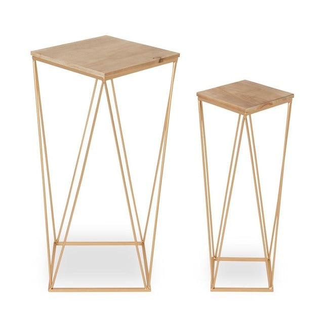 Gold Wood Veneer Modern End Table