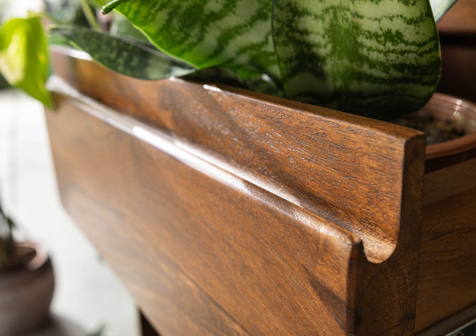 Shelf Sheesham 88x40x205 walnut | Wooden Bookshelf