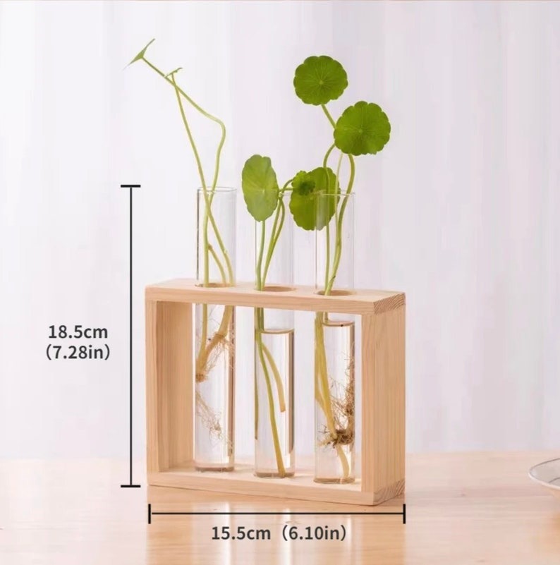 Wooden Glass Test Tube Flower Vases