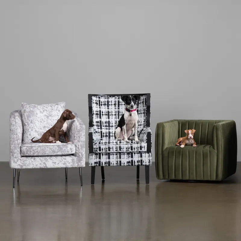 living room chair
