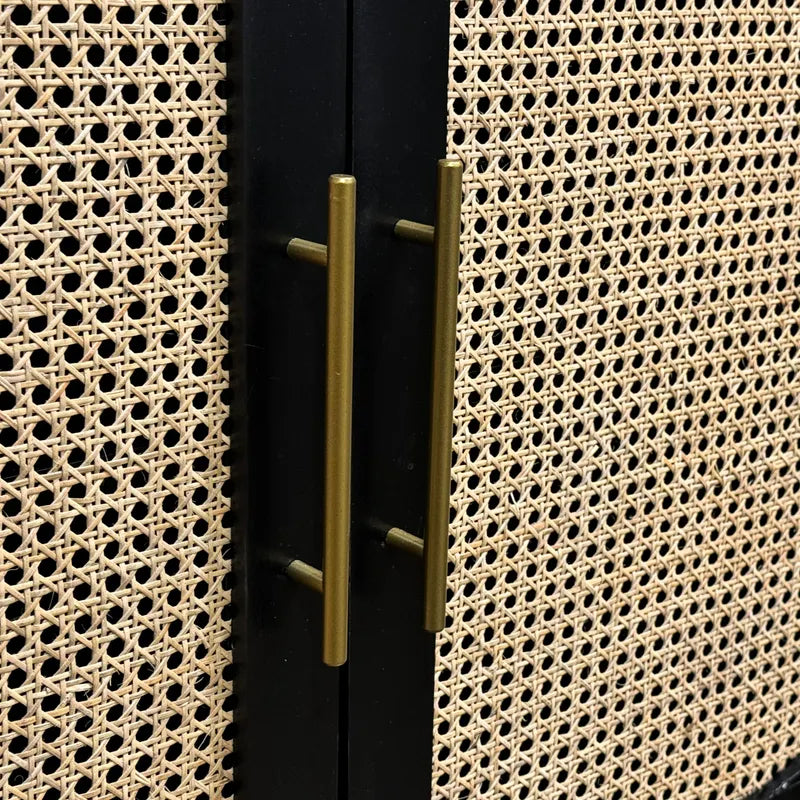 rattan door cabinet